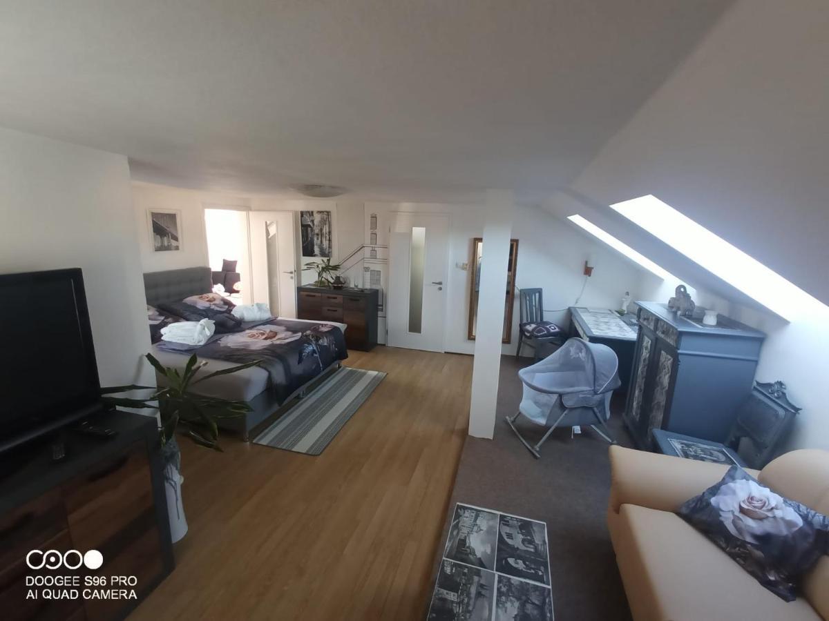 Podkrovni Apartman Tereza Apartment Rumburk Exterior photo